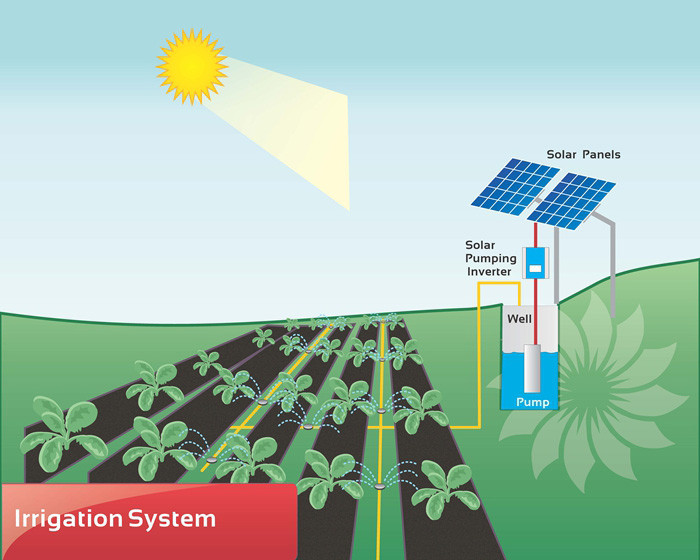 DIFFUL SOLAR PUMP - - Solar Irrigation System