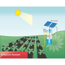 DIFFUL SOLAR PUMP - - Solar Irrigation System