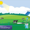 DIFFUL SOLAR PUMP - - 牲畜太阳能供水