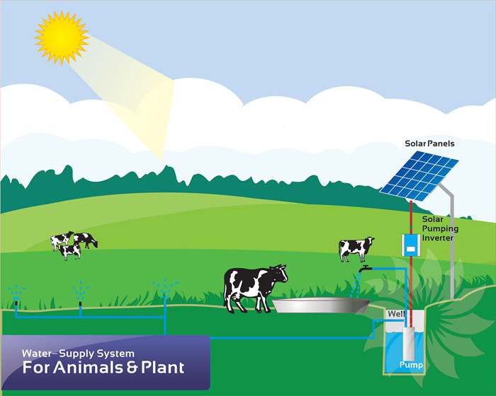 DIFFUL SOLAR PUMP - - Solar powered water supply for livestock