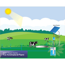 DIFFUL SOLAR PUMP - - Solar powered water supply for livestock