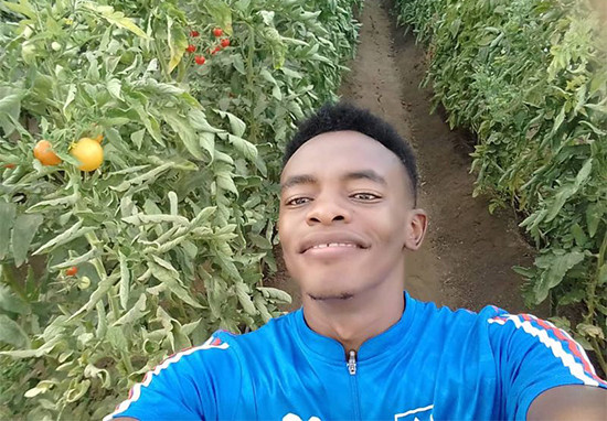 Africa Sudan｜Solar Submersible Pump 4DPC13-60-110-1500 For Irrigating Crops