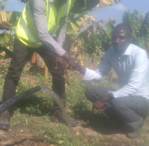 Africa South African｜ Submersible Pumping System 4 Inch Solar Pump With Plastic Impeller