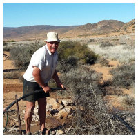 Africa South African |Submersible Pumping System 4 Inch Solar Pump With Plastic Impeller
