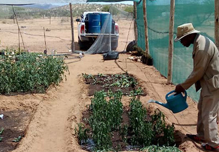 Africa Namibia | 3 Inch DC Brushless Screw Solar Submersible Pump Application Referenc