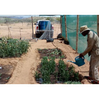 Africa Namibia | 3 Inch DC Brushless Screw Solar Submersible Pump Application Referenc