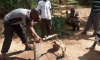 Africa Senegal | Solar Submersible  Pumping System