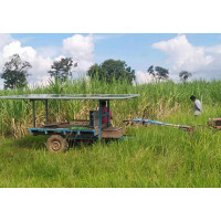 Asia Thai | 4 Inch DC Brushless Solar Submersible Pump With Plastic Impeller Application Reference