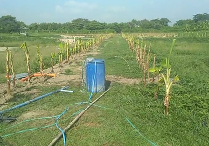 Asia Philippines | Submersible Pumping System 4 Inch AC/DC Brushless Solar Pump With S/S Impeller