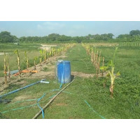 Asia Philippines | Submersible Pumping System 4 Inch AC/DC Brushless Solar Pump With S/S Impeller