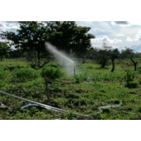 Colombia | Solar Screw Submersible Pump 3 Inch DC Brushless Solar Screw Pump