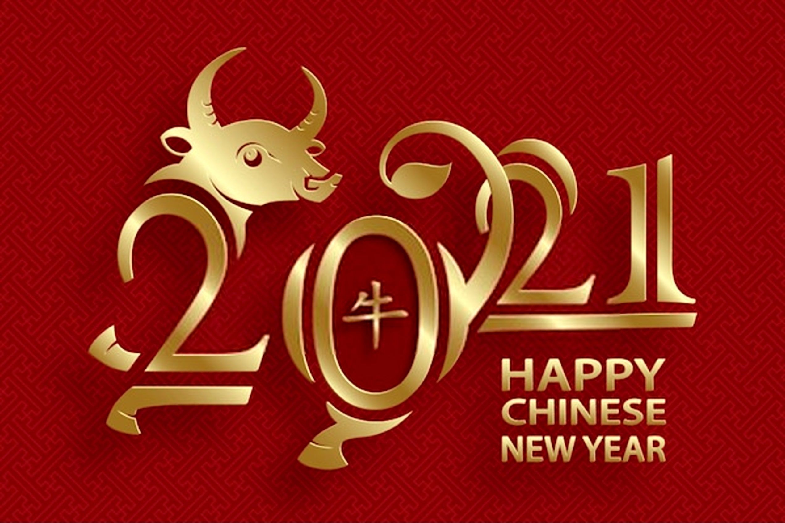 DIFFUL SOLAR PUMP - - Chinese New Year holiday notice