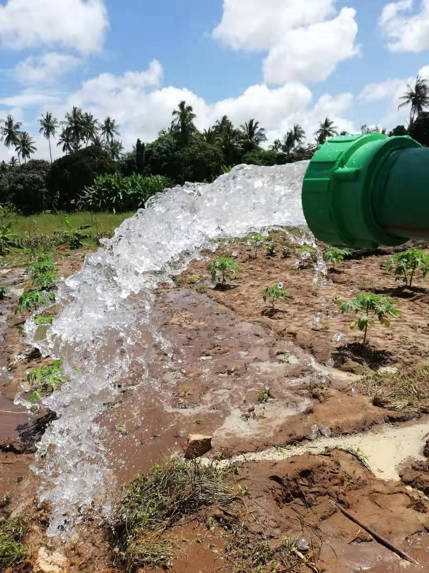 solar water pump for irrigation