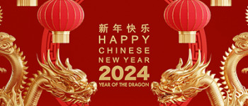 Counting Down to the Chinese New Year: DIFFUL Wishes You a Happy Spring Festival