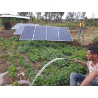 Africa Ethiopia | 4 inch 4000w AC/DC brushless solar pump with S/S impeller