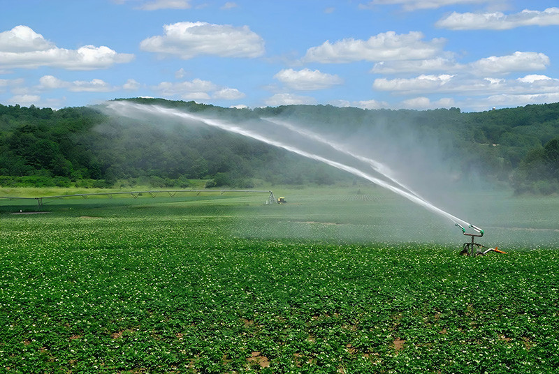 solar pump application on agriculture irrigation