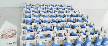 DIFFUL Solar Pump Factory celebrates International Women's Day