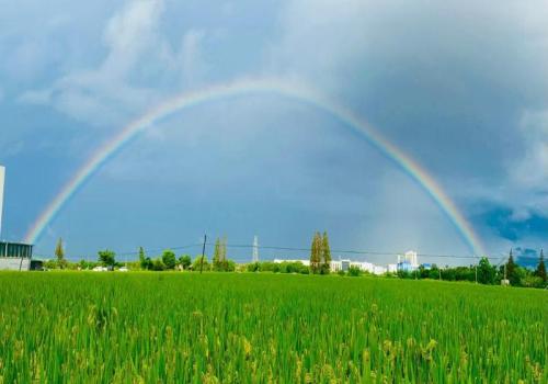 太阳能牲畜饮水泵：适合牧场和农场的最佳选择