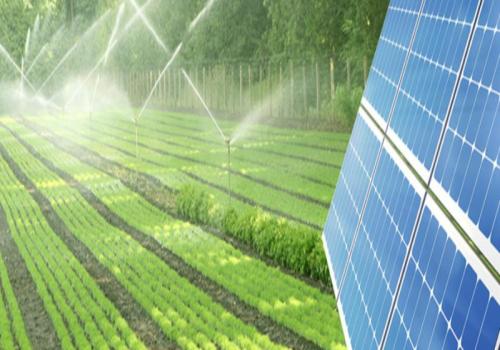 农业用太阳能灌溉泵：完整指南