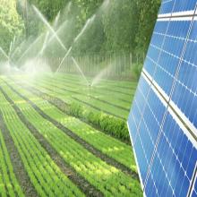 Solar Irrigation Pumps for Agriculture: A Complete Guide