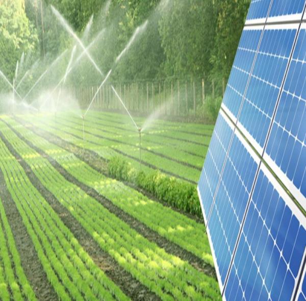 Solar Irrigation Pumps for Agriculture: A Complete Guide