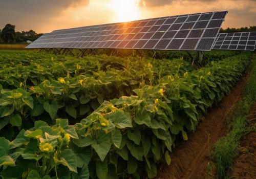 太阳能泵为何是可持续农业的理想选择