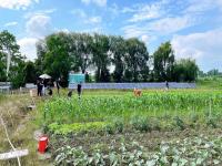 绿色灌溉新选择：太阳能水泵