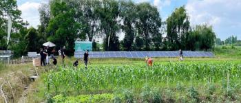 A new option for green irrigation: Solar water pump