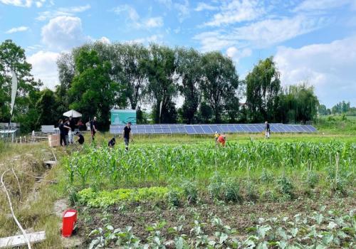 绿色灌溉新选择：太阳能水泵