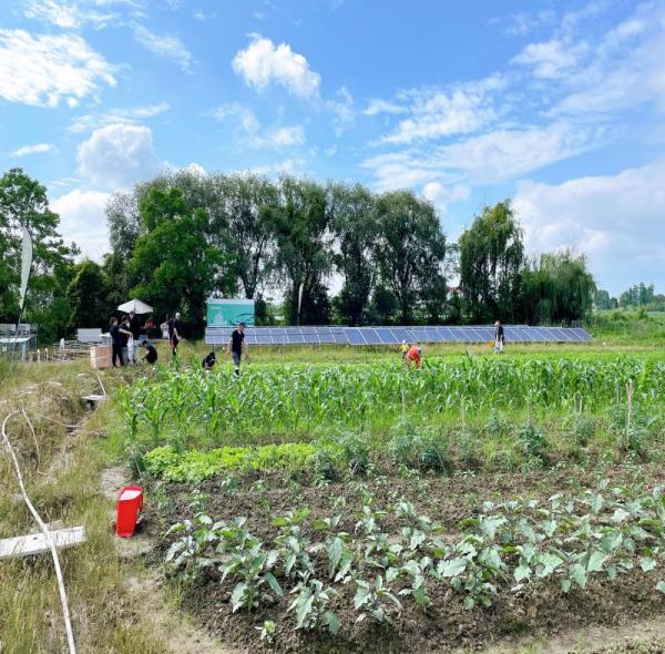 A new option for green irrigation: Solar water pump