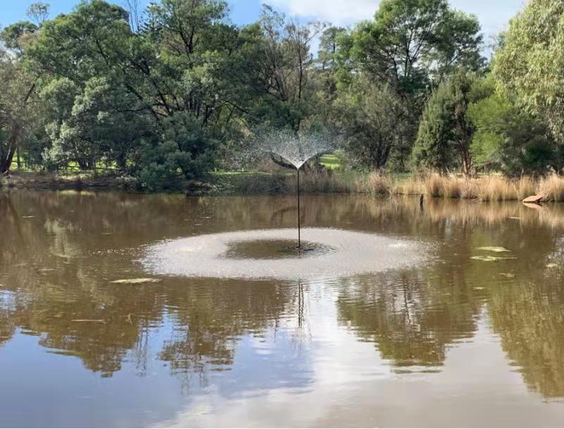 DIFFUL Solar Water Pumps' Innovative Solutions Infuse New Energy for Sustainable Development into African Communities