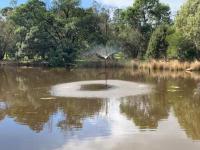 DIFFUL Solar Water Pumps' Innovative Solutions Infuse New Energy for Sustainable Development into African Communities