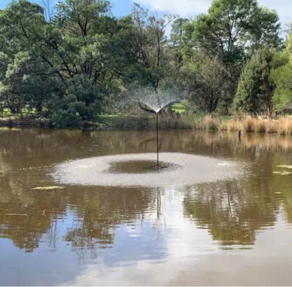 DIFFUL Solar Water Pumps' Innovative Solutions Infuse New Energy for Sustainable Development into African Communities