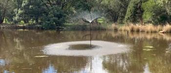 DIFFUL Solar Water Pumps' Innovative Solutions Infuse New Energy for Sustainable Development into African Communities