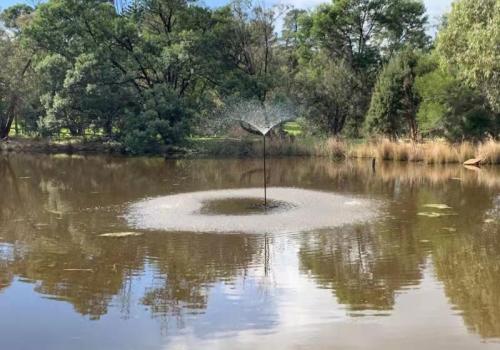 DIFFUL太阳能水泵的创新解决方案为非洲社区的可持续发展注入了新的活力