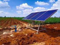 Chinese Solar Water Pumps Brighten African Fields, Sunlight Technology Solves Irrigation Challenges