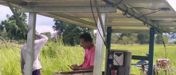 DIFFUL Solar Water Pump: A Robust “Heart” Driving Every Ray of Sunlight