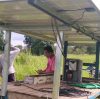 DIFFUL Solar Water Pump: A Robust “Heart” Driving Every Ray of Sunlight