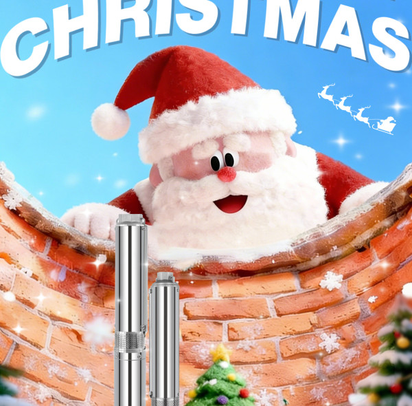 DIFFUL Christmas Greetings - Thank You to Our Partners for Walking Together