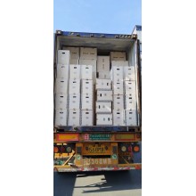 DIFFUL Surface pumps starts operation in Malawi