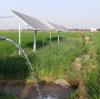 Adapted to Thailand's climate, DIFFUL solar water pumps strengthen the agricultural water security line