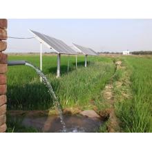 Adapted to Thailand's climate, DIFFUL solar water pumps strengthen the agricultural water security line