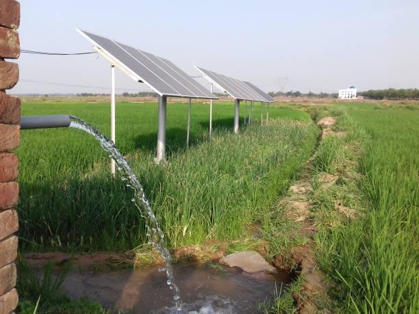 Adapted to Thailand's climate, DIFFUL solar water pumps strengthen the agricultural water security line