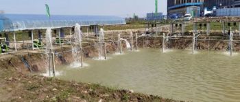 Solar Water Pumps: Low-Carbon Irrigation Tools for Safeguarding Farmland Yield