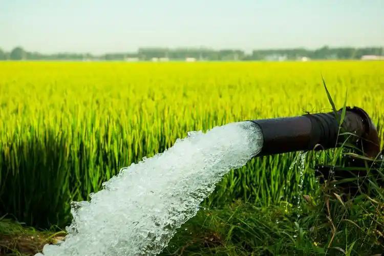 Why Solar Pumps Are Gaining Popularity in Remote Areas