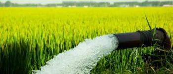Why Solar Pumps Are Gaining Popularity in Remote Areas
