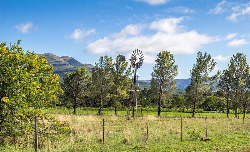 Solar Pumps vs Diesel Pumps: Cost Comparison