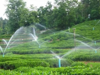 Solar Powered Water Pumps vs. Electric Water Pumps: Which Is Better?