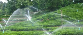 Solar Powered Water Pumps vs. Electric Water Pumps: Which Is Better?