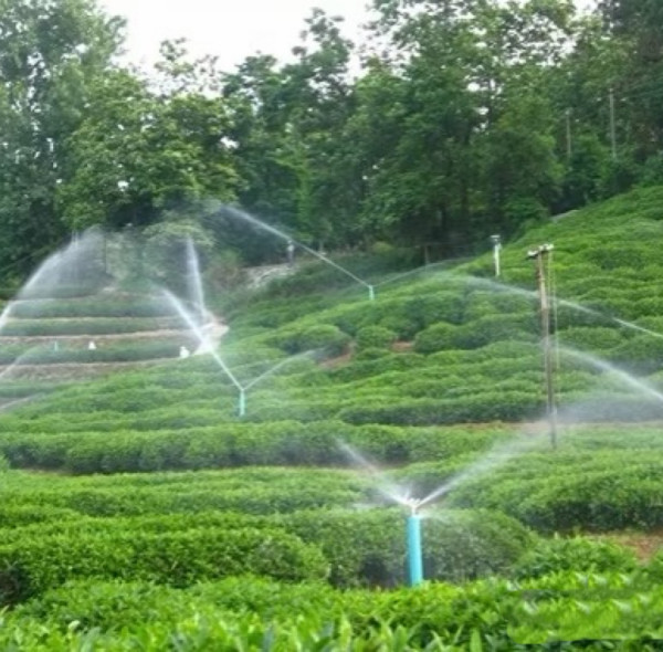 Solar Powered Water Pumps vs. Electric Water Pumps: Which Is Better?